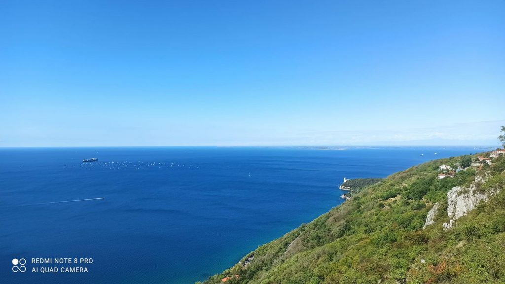 Anima Viridis_Massimiliano Calligola