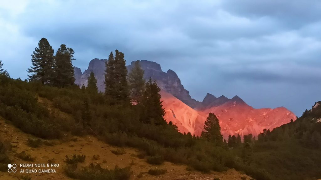 Anima Viridis_Massimiliano Calligola