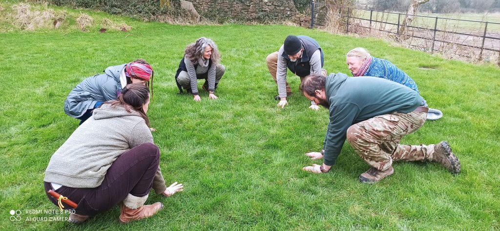 Anima Viridis_Massimiliano Calligola