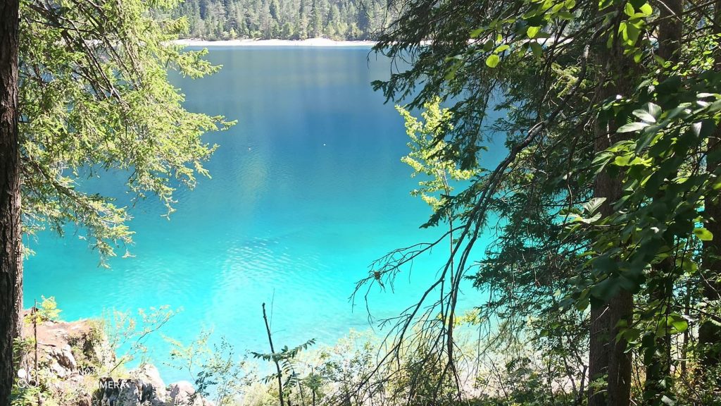 Anima Viridis_Massimiliano Calligola