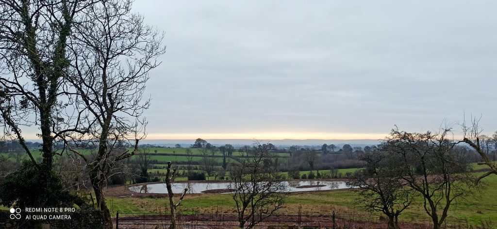 Anima Viridis_Massimiliano Calligola