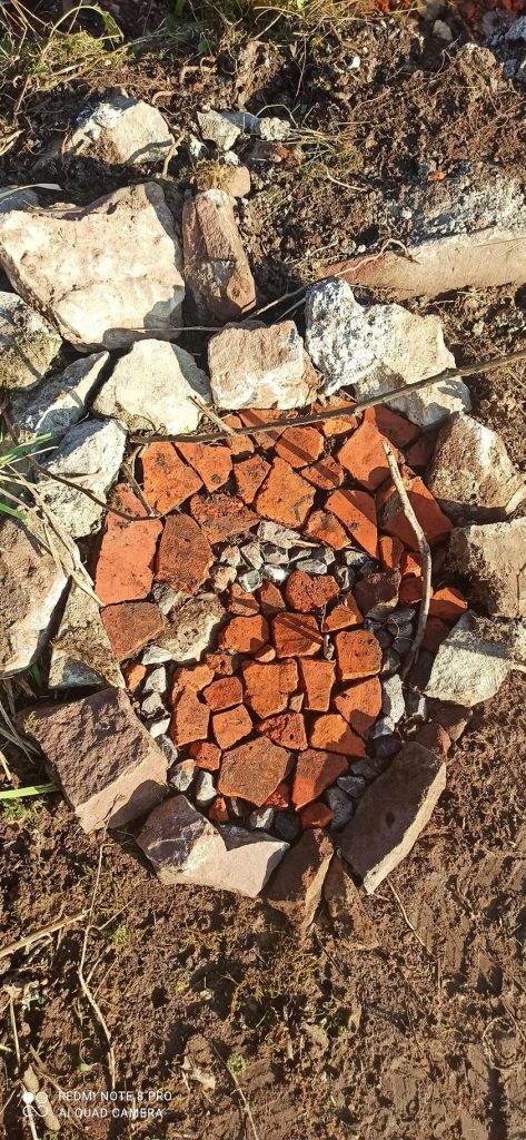 Anima Viridis_Massimiliano Calligola