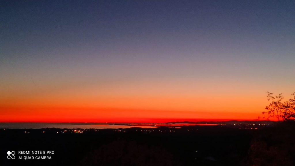 Anima Viridis_Massimiliano Calligola