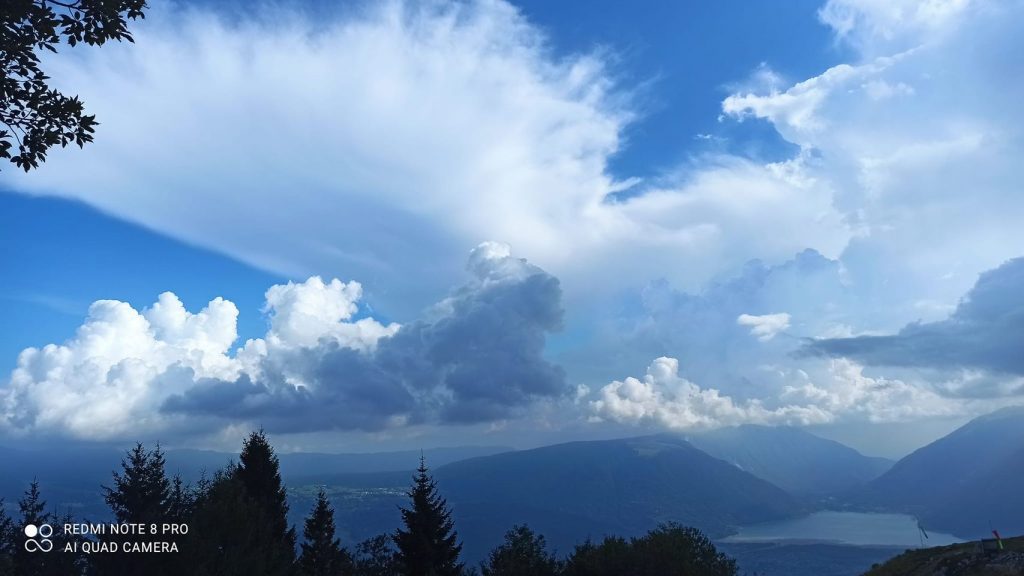 Anima Viridis_Massimiliano Calligola