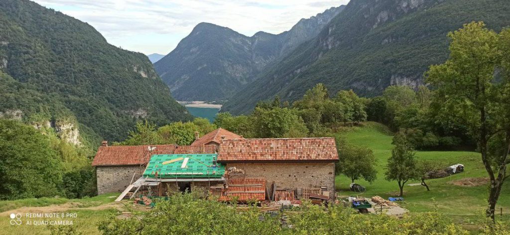 Anima Viridis_Massimiliano Calligola