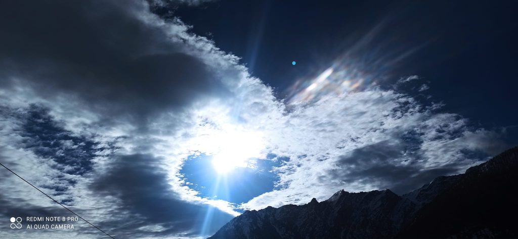 Anima Viridis_Massimiliano Calligola