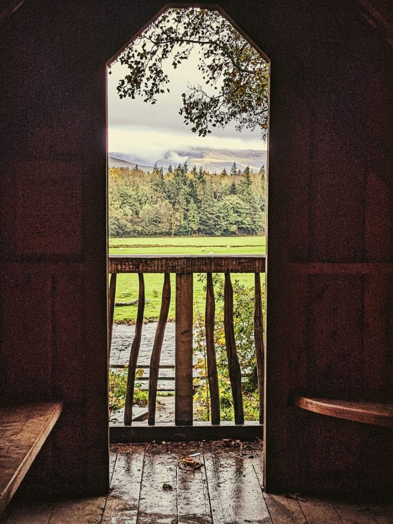 Anima Viridis_Massimiliano Calligola