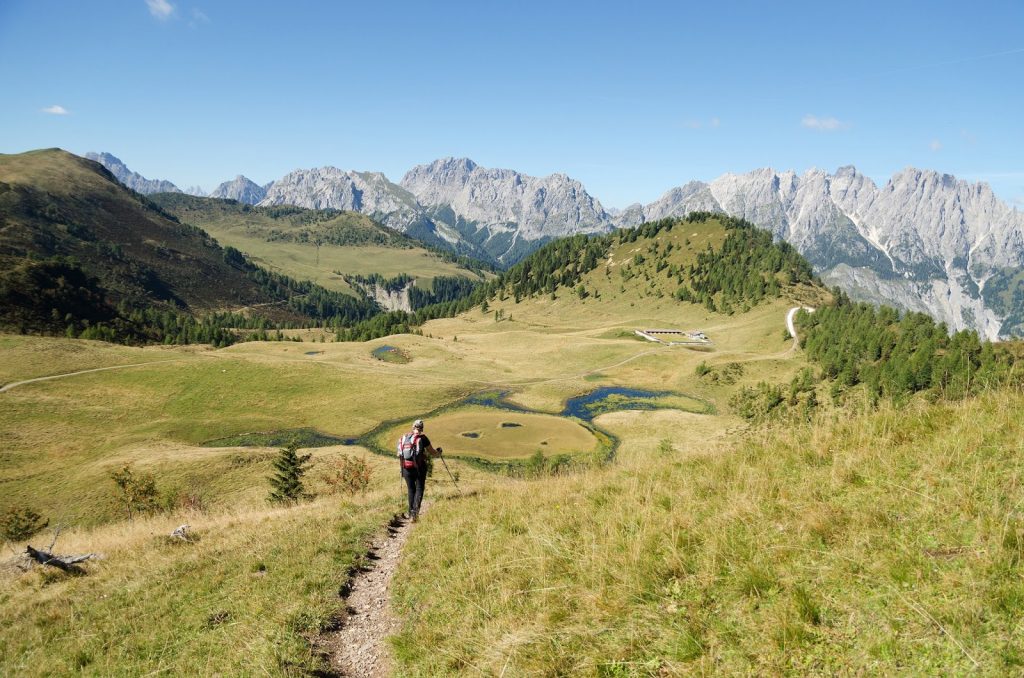 Anima Viridis_Massimiliano Calligola