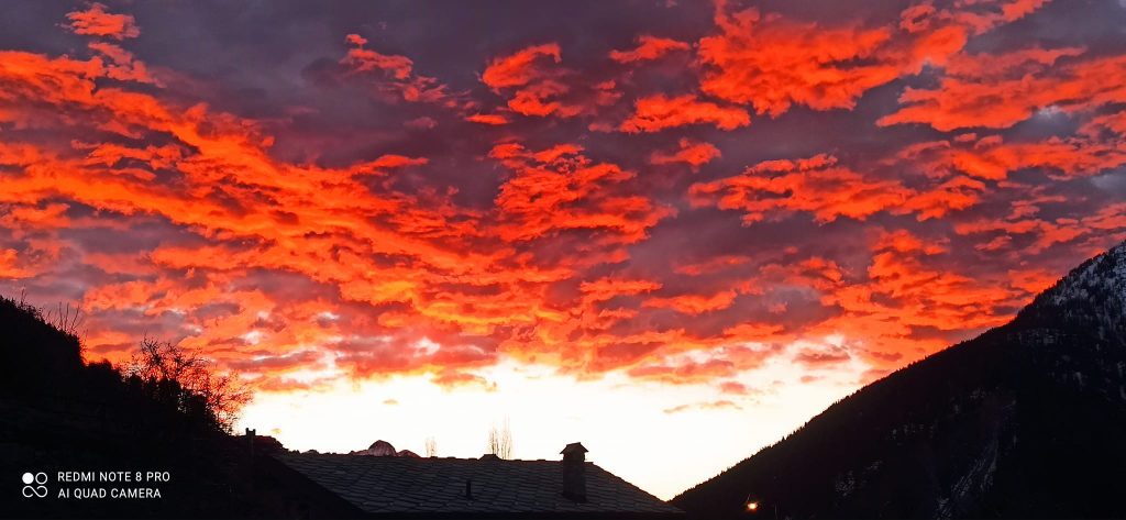 Anima Viridis_Massimiliano Calligola