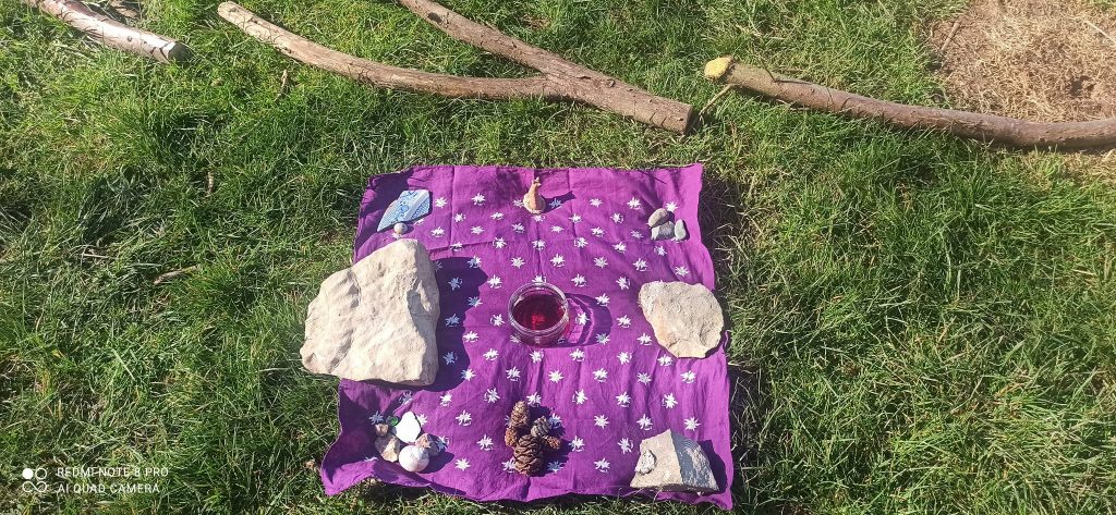 Anima Viridis_Massimiliano Calligola